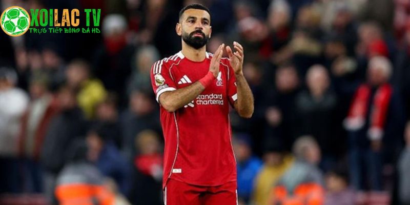 Salah có dữ liệu nhưng chưa áp dụng được 